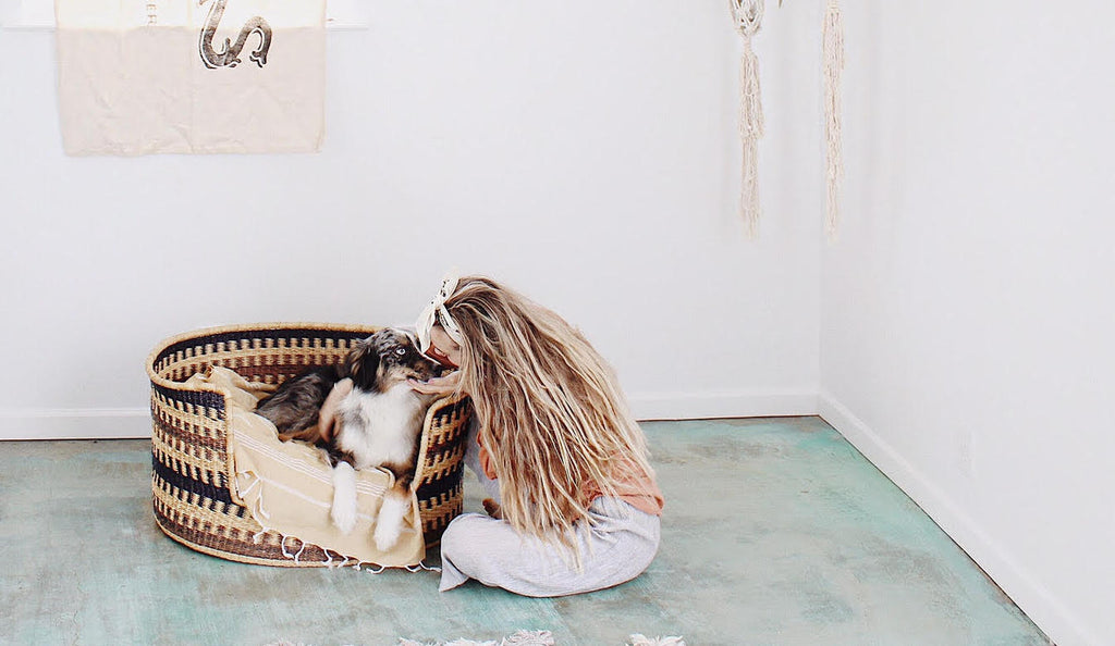 Pets