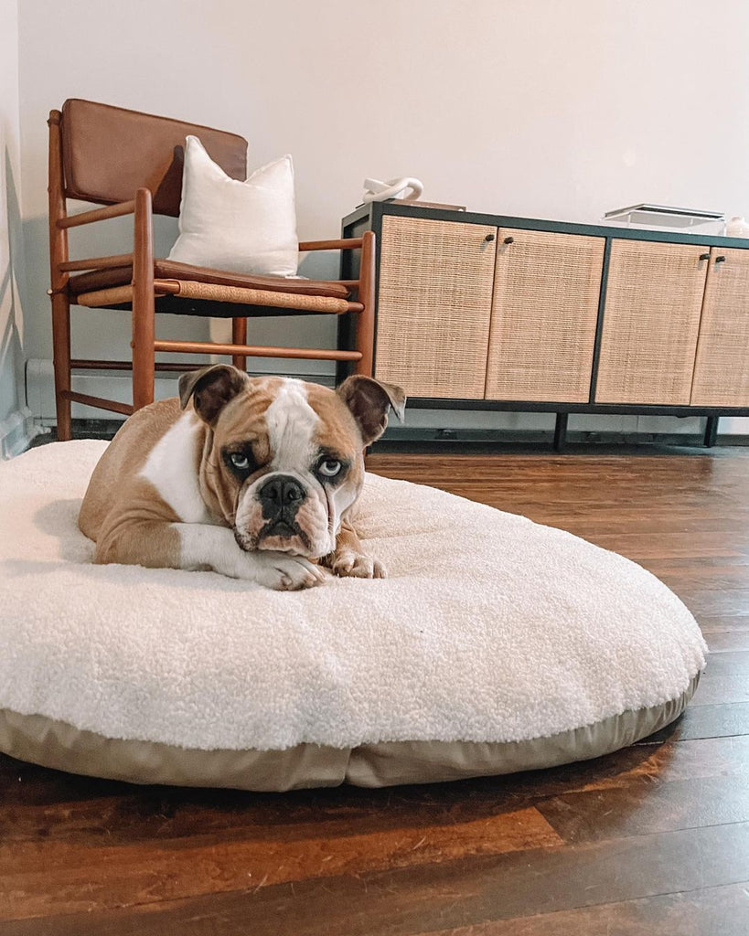 Extra Dog Bed Cushion