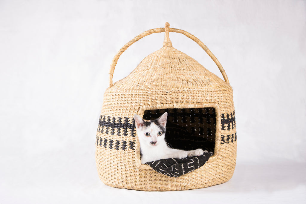 Design Dua Cat Pod - Patterned