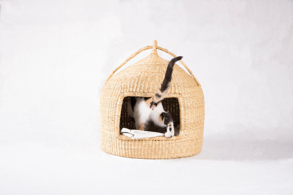 Design Dua Cat Pod - Patterned