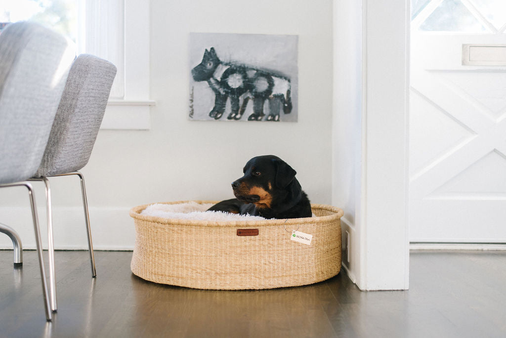 Design Dua "Donut" Dog Bed