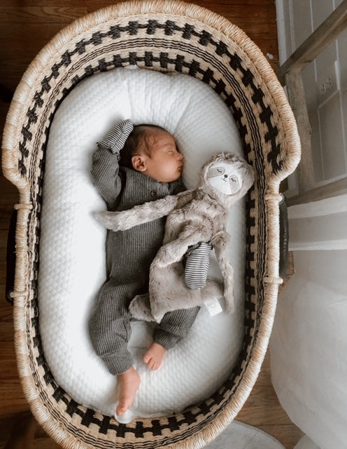 Design Dua クーファン＋moss pad＋スタンドセット Design Dua クーファン＋moss pad＋スタンドセット Design Dua.カゴ型