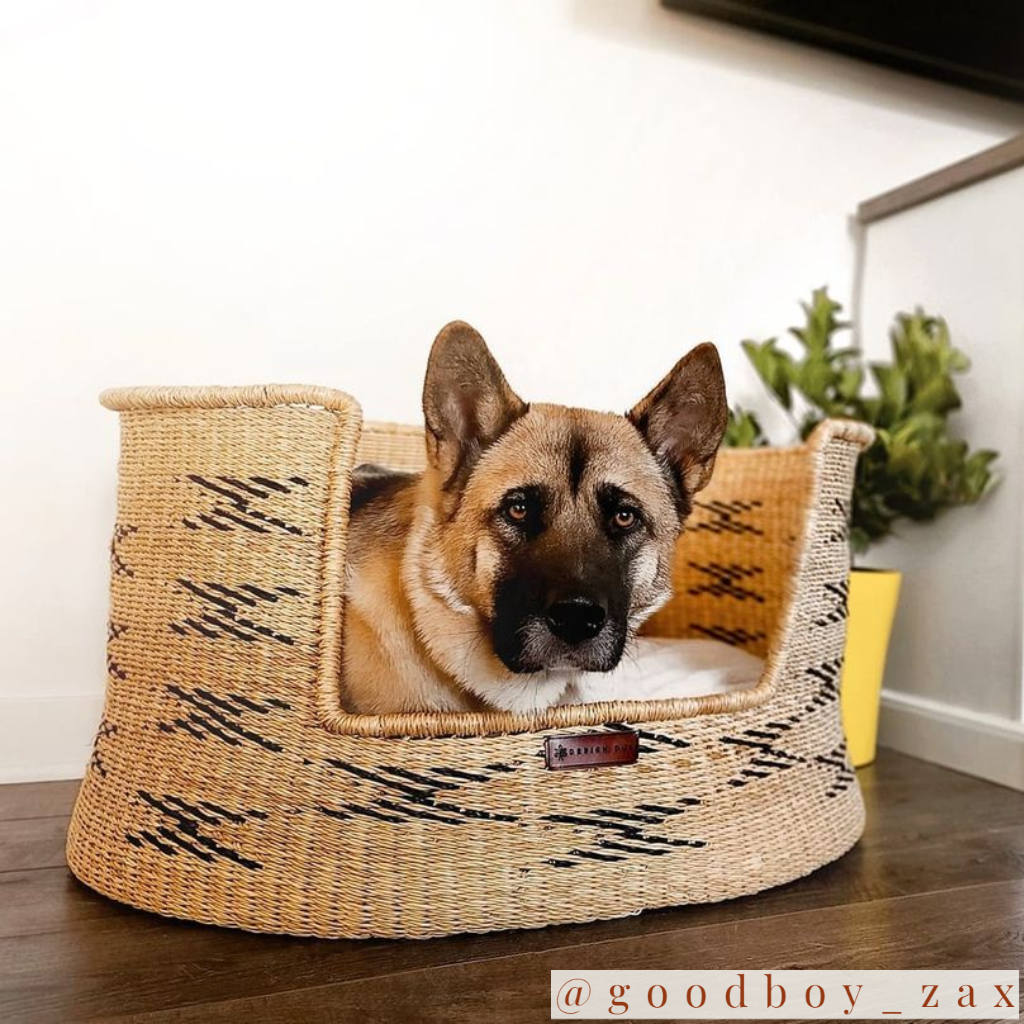 Design Dua Bear Dog Bed "Prism"