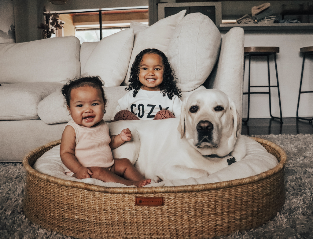 Design Dua "Brothers" Dog Bed