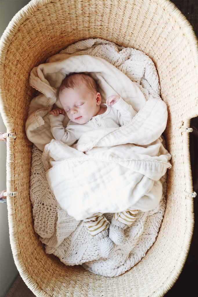 Signature Bilia Bassinet & Changing Basket Combo Special: Natural