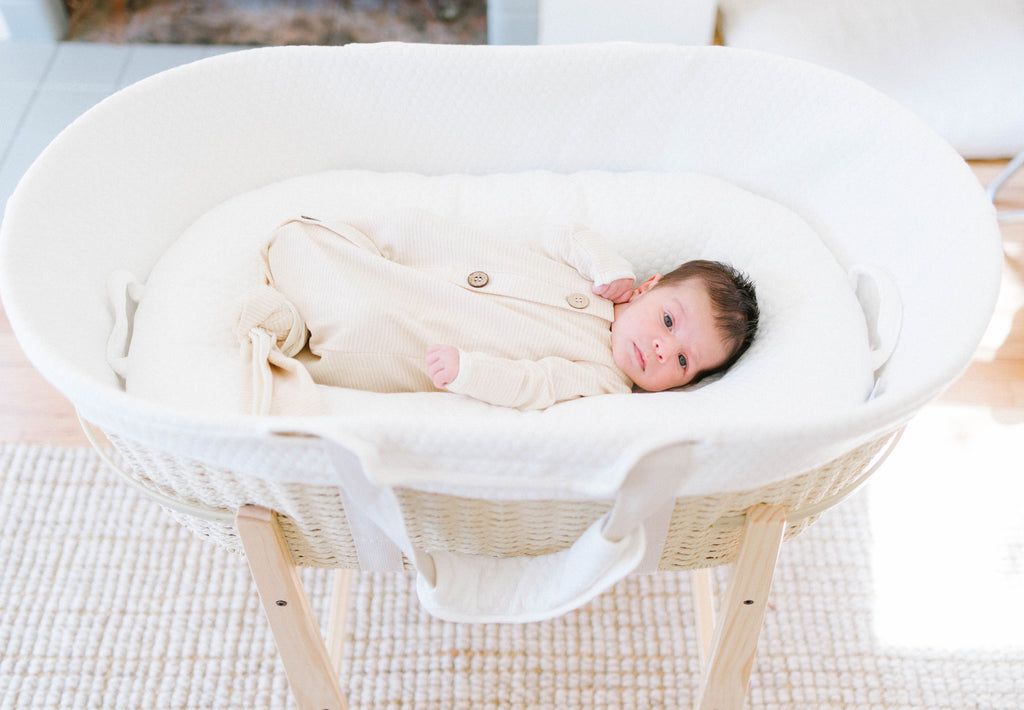 Ark Bassinet Bundle