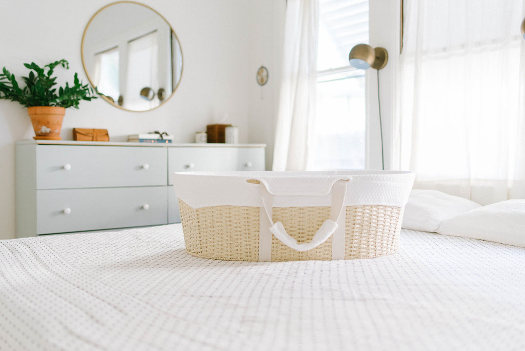Ark Bassinet Bundle