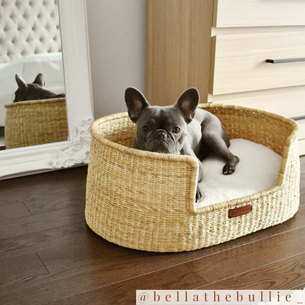 Design Dua Bear Dog Bed "Natural"