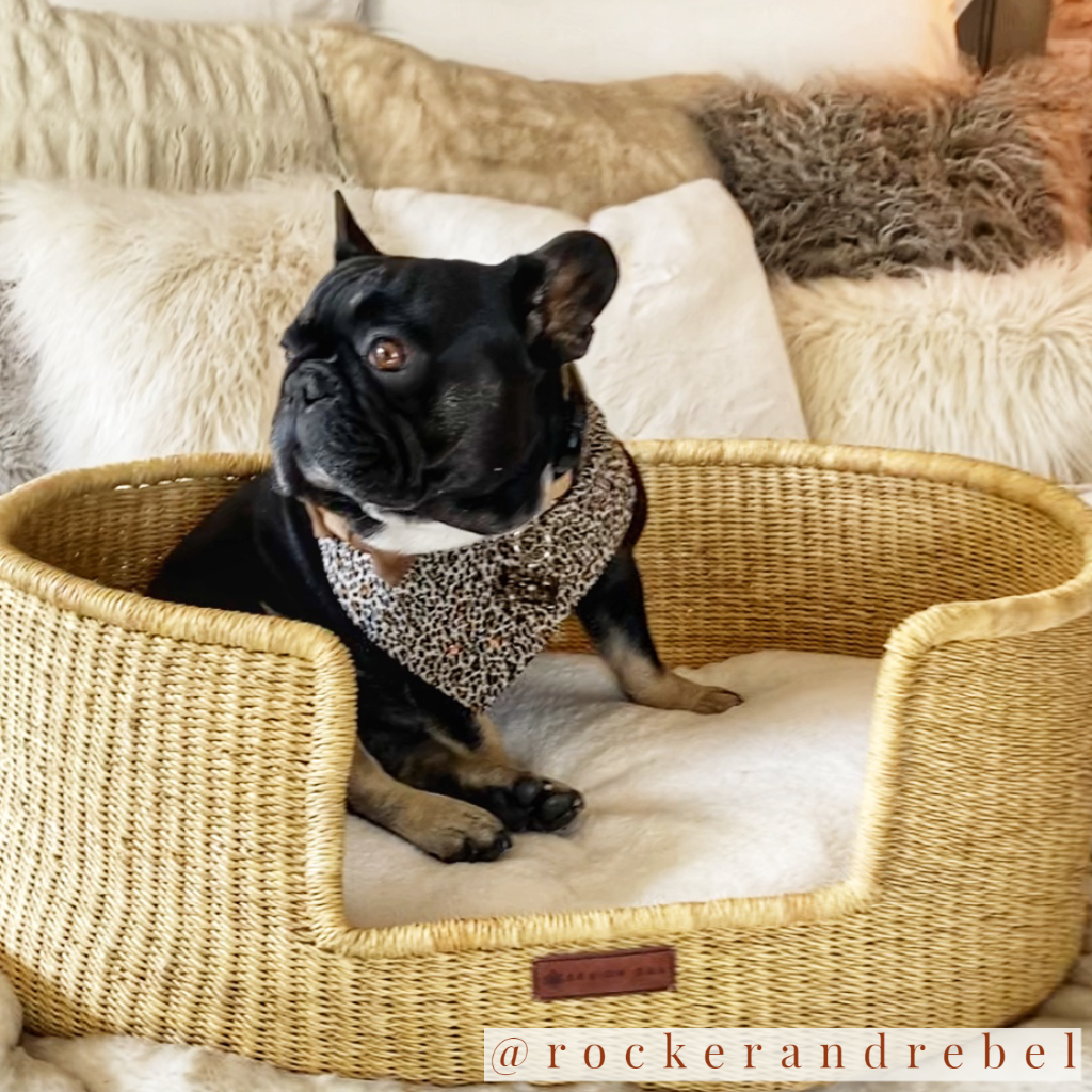 Design Dua Bear Dog Bed "Natural"