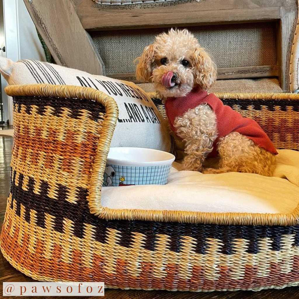 Design Dua Bear Dog Bed "Brown Cross"