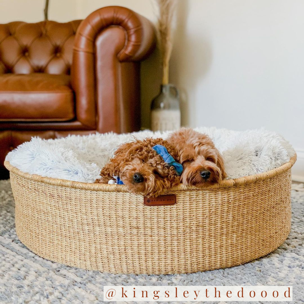 Design Dua "Donut" Dog Bed