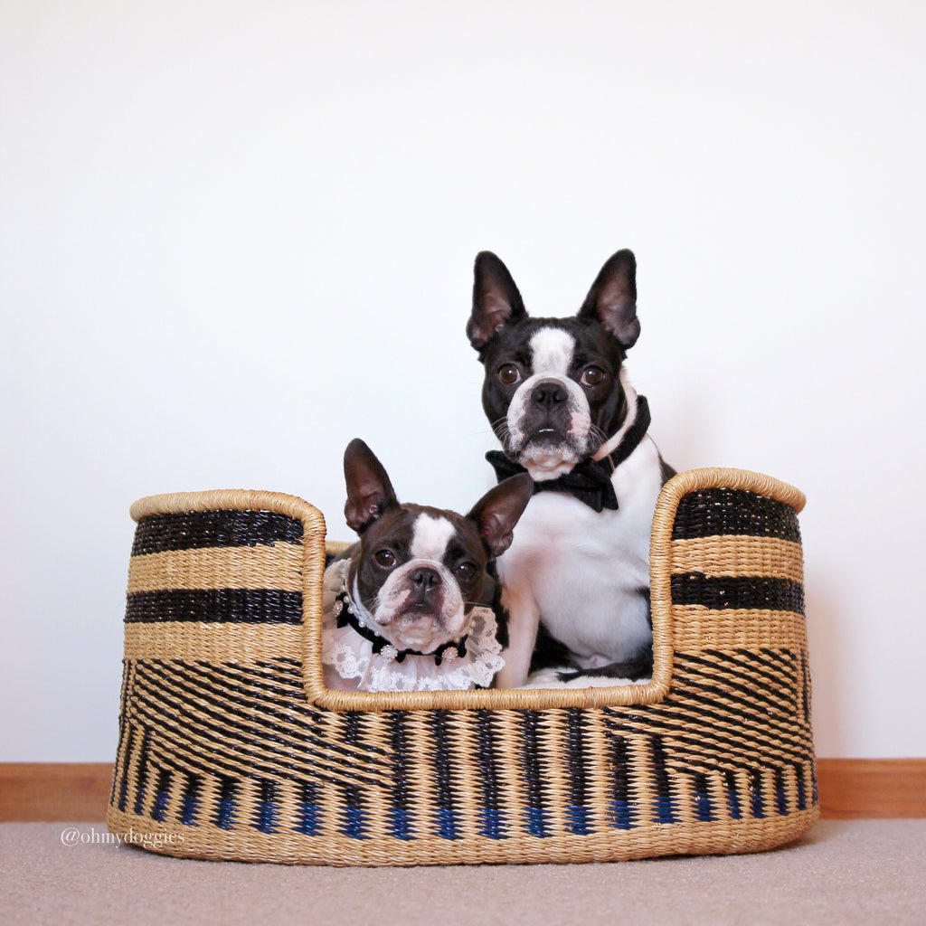 Design Dua Bear Dog Bed- Patterns