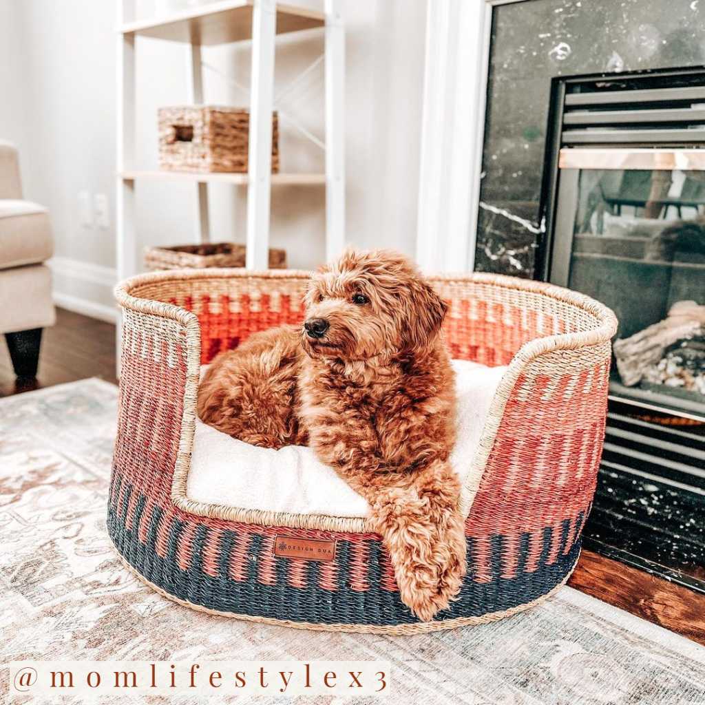 Design Dua Bear Dog Bed "Mole"