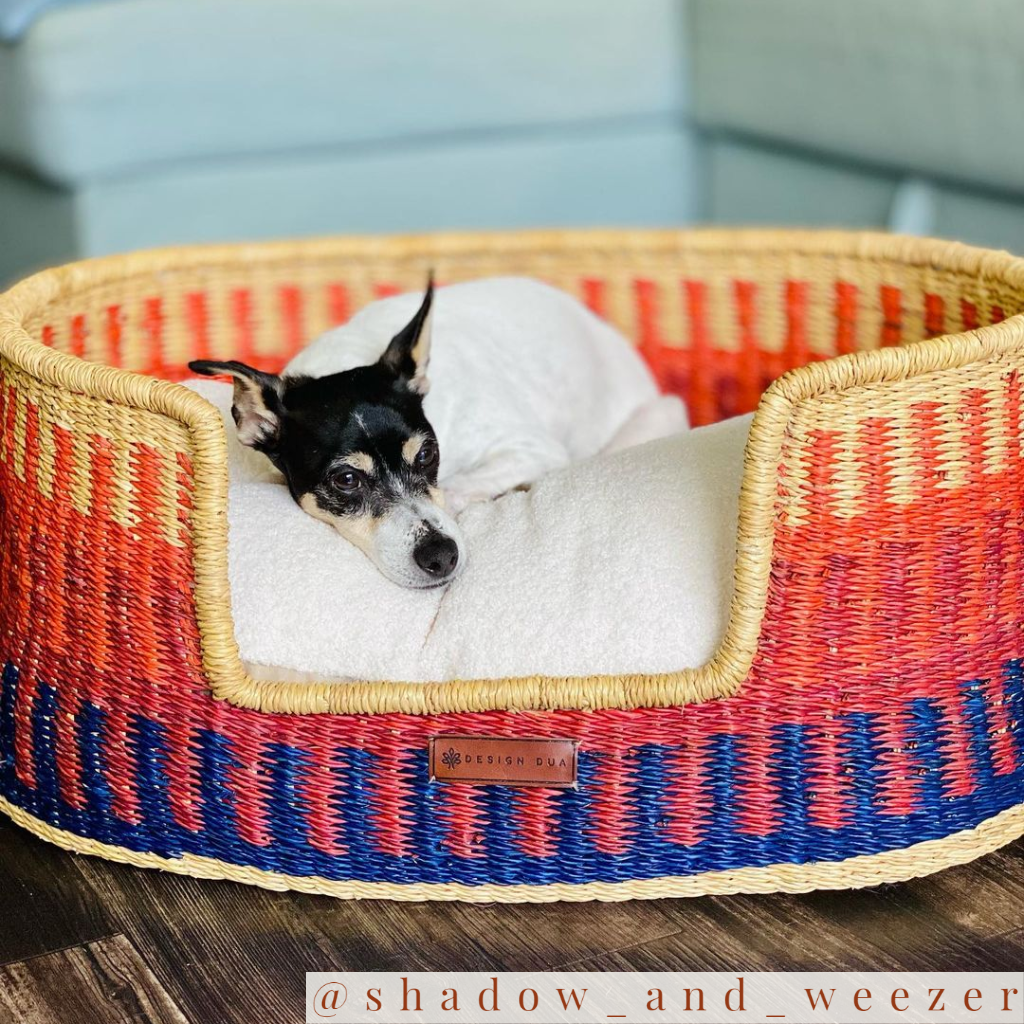 Design Dua Bear Dog Bed "Mole"