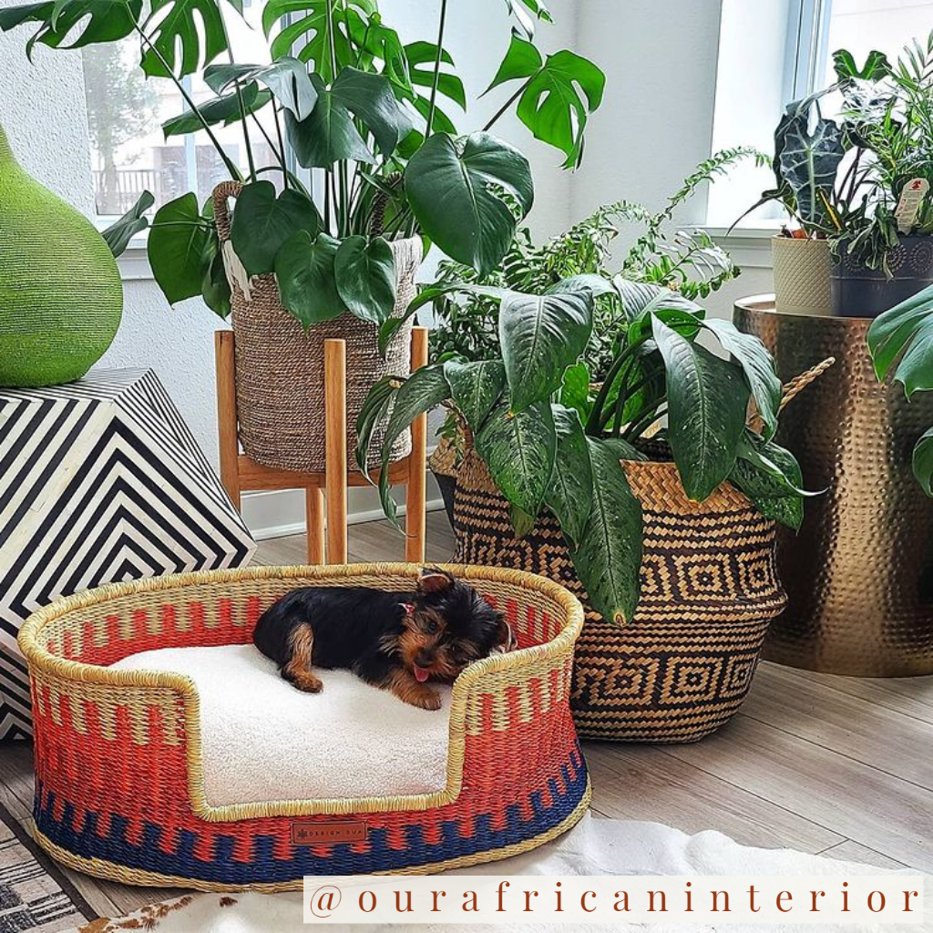 Design Dua Bear Dog Bed "Mole"